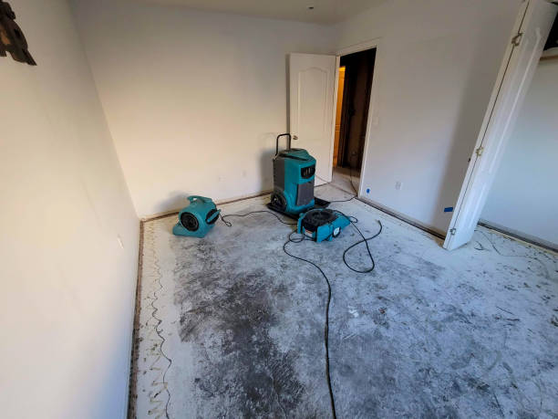 Water damage restoration mold remediation in OK