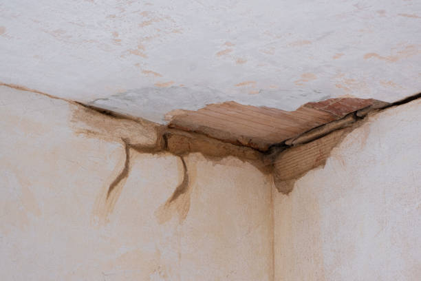 Best Water damage restoration near me  in Keys, OK