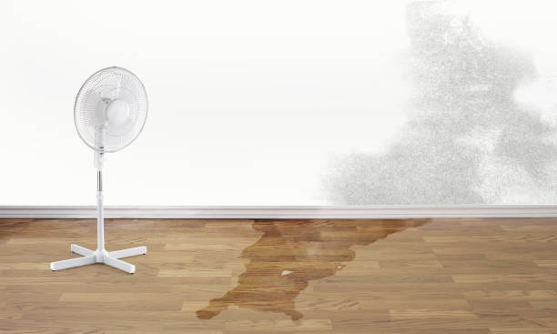 Best 24-hour water damage restoration  in Keys, OK